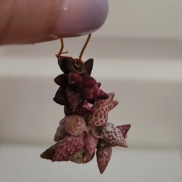 Handcrafted Shell drop earrings - Picture 4 of 5